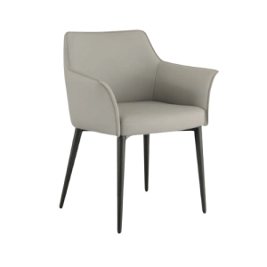 Silla Stelar